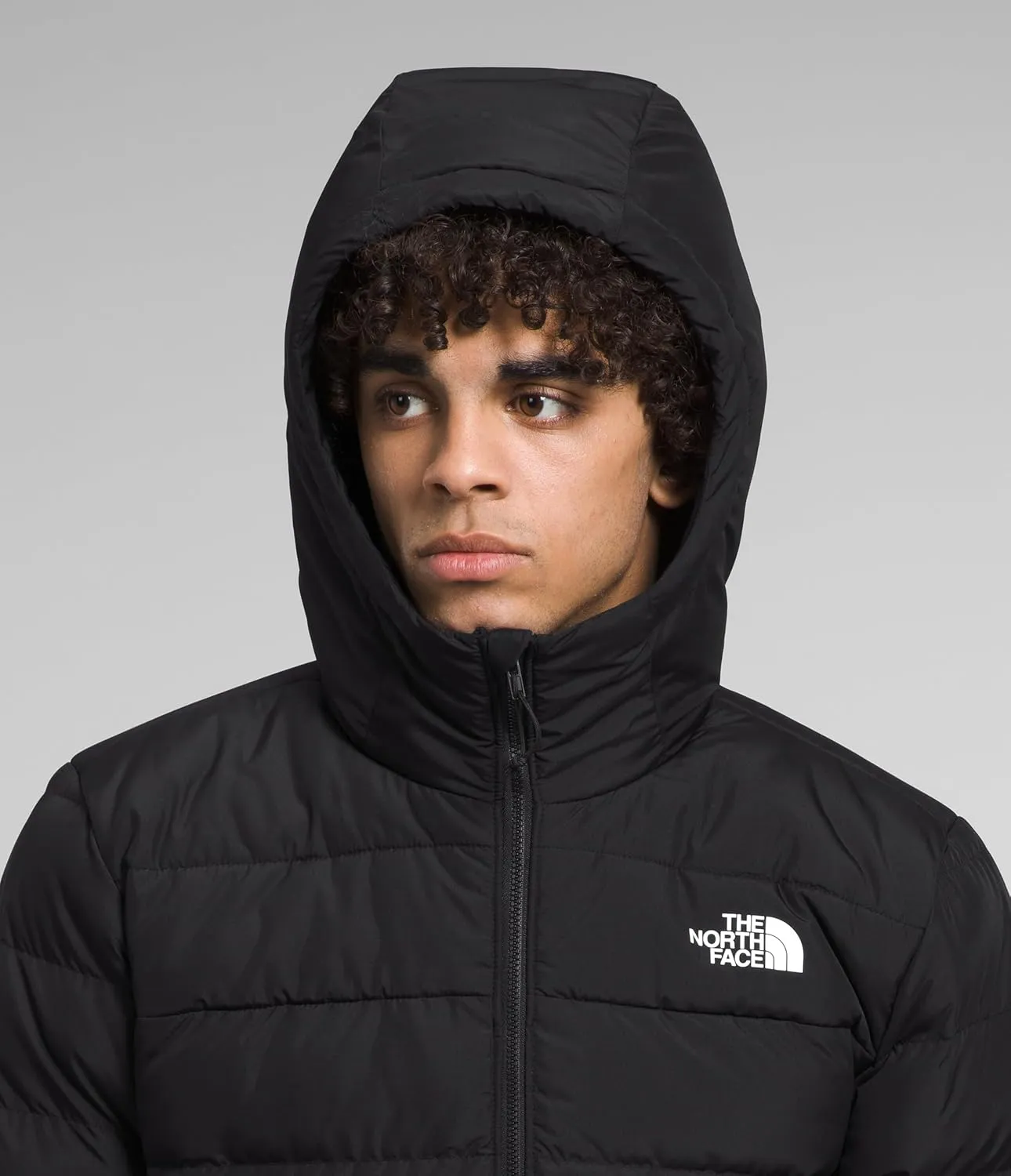 The North Face Aconcagua 3 Hoodie - Men's